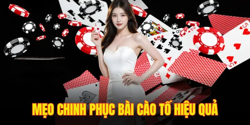 Một số mẹo giúp chinh phục bài cào tố cực hiệu quả cho người mới