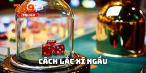 Cách lắc xí ngầu