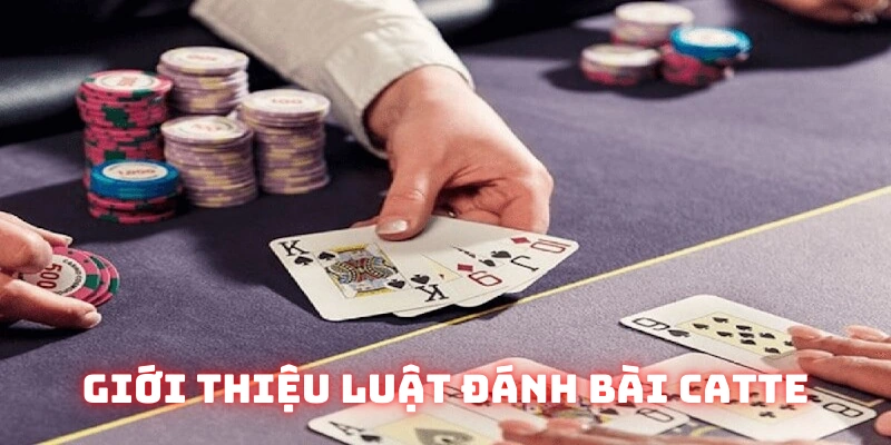 Khái niệm về luật đánh bài catte cơ bản nhất
