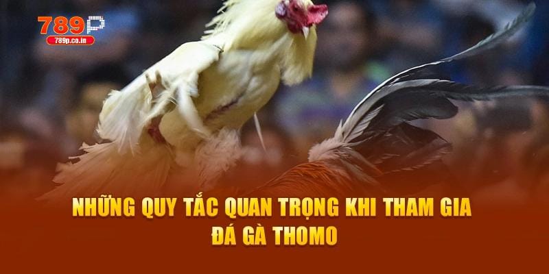 Những quy tắc quan trọng khi tham gia đá gà Thomo